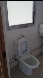 Blk 408C Northshore Residences II (Punggol), HDB 2 Rooms #633124131